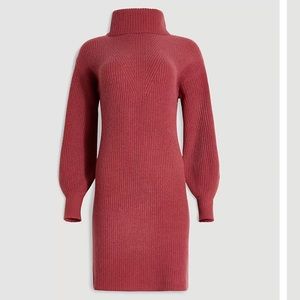 Ann Taylor Petite 100% Cashmere Sweater Dress PXXS